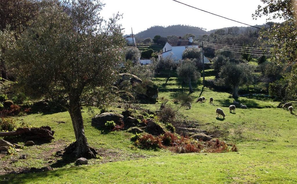 Villa Refugio Da Maceira Marvão Exterior foto