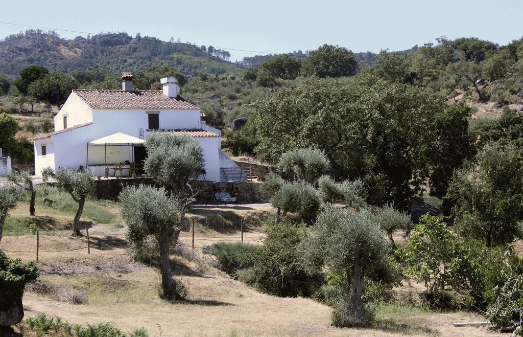 Villa Refugio Da Maceira Marvão Exterior foto